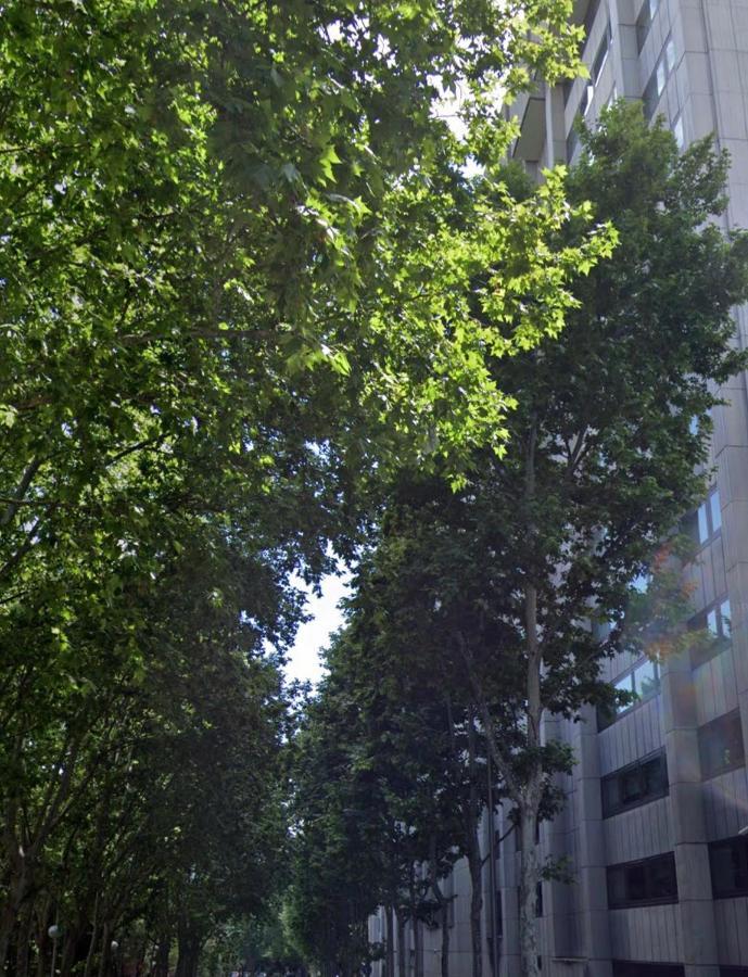 Bernabeu, Luxury Y Luminoso Apartamento Entero Madrid Kültér fotó
